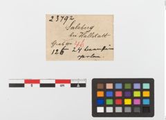 Etiketten zu Kette (NHMW-PRAE-023792)